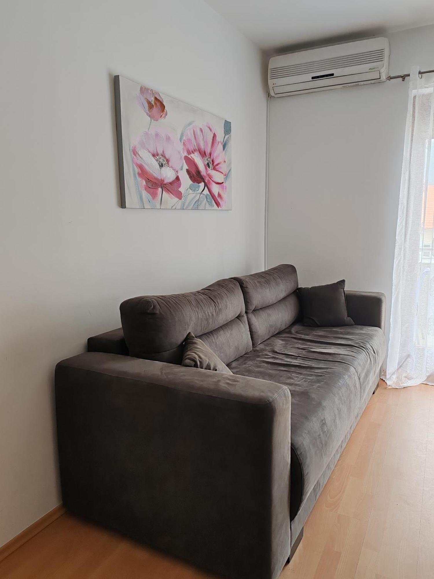 Apartmani Nana Sokobanja الغرفة الصورة